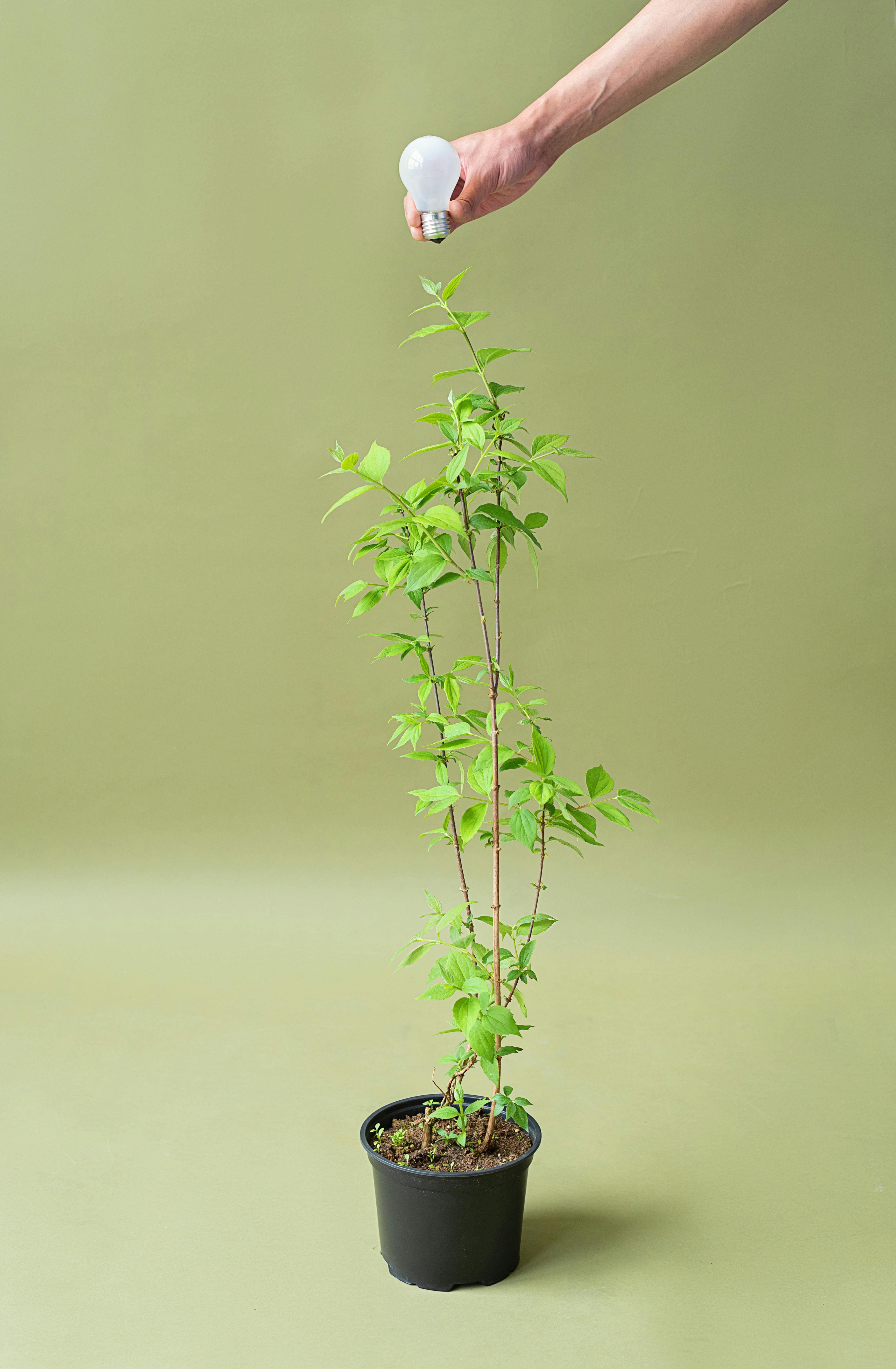 pexels-mikhail-nilov-8543139